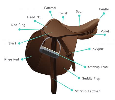 horse harness diagram parts - Wiring Diagram and Schematics