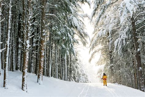 15 Best Things to Do in Maine in Winter | PlanetWare