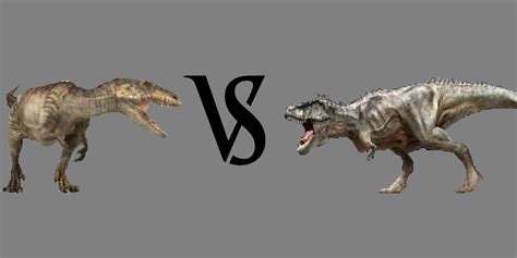 Dino About: DinoAbout Fight Night: Round 1 - T-rex vs Giganotosaurus.