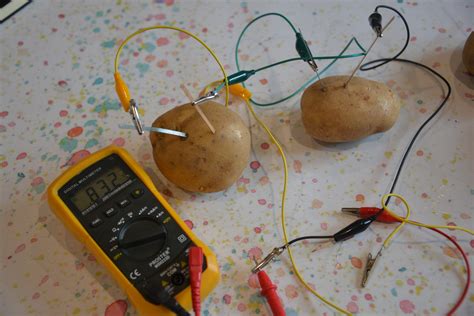 Potato Light Bulb Science Fair Project | Shelly Lighting