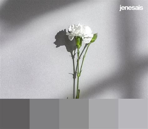 25+ Aesthetic Color Palettes, for Every Aesthetic (with Hex Color Codes ...