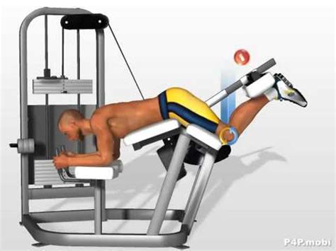 Hamstring(Cramp) exercises- Leg Curl Machine Exercise Training {Fitness ...