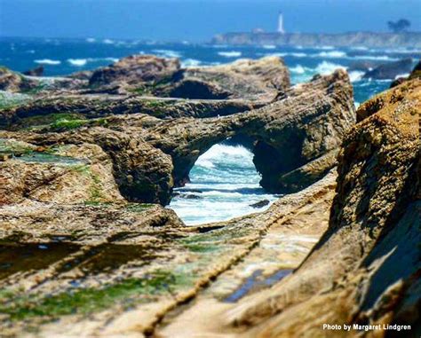 Point Arena-Stornetta Lands National Public Monument – Point Arena ...