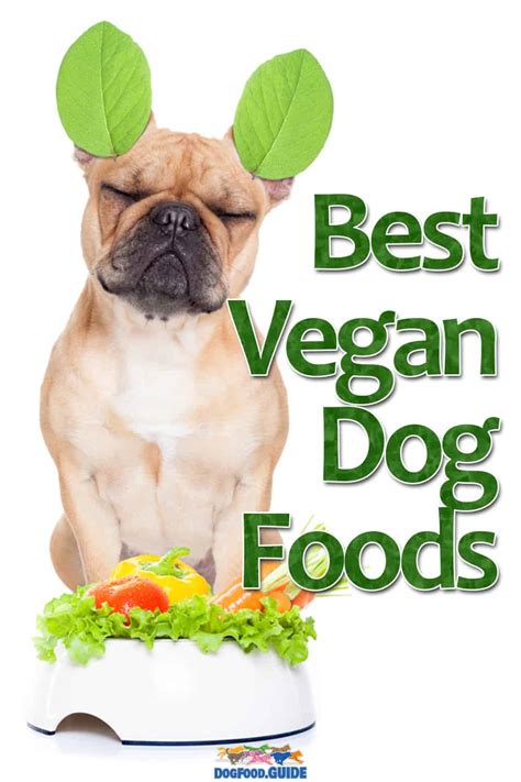 Best Vegan Dog Food Brands 2024: The Kinder Option