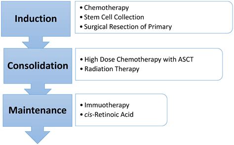 Children | Free Full-Text | High-Risk Neuroblastoma Treatment Review