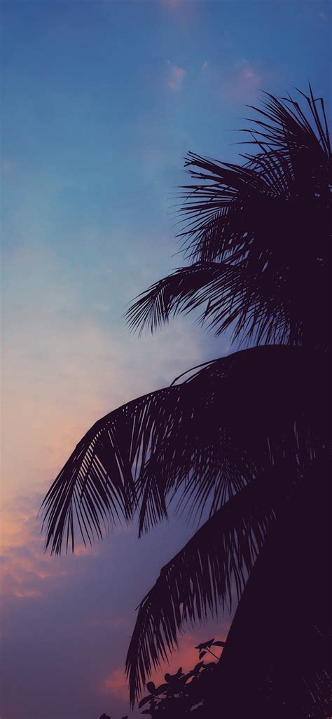 chill vibes. | Chill wallpaper, Sky aesthetic, Sunset wallpaper