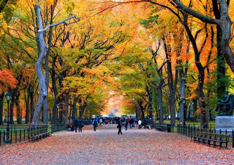 5 Fun Ways to See Fall Foliage in NYC