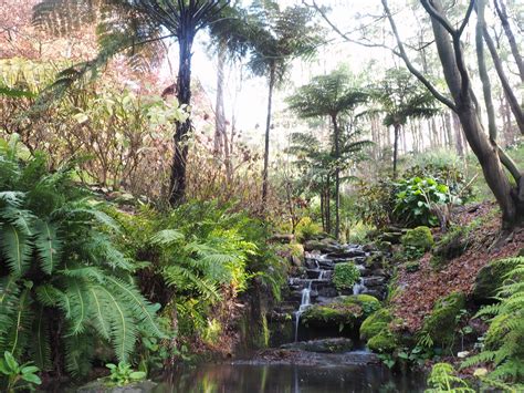 The Nature Trail - Mt Lofty Botanic Gardens - Trails SA