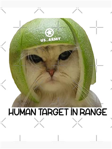 "Limecat - funny lime cat meme" Poster for Sale by Raiko-art | Redbubble