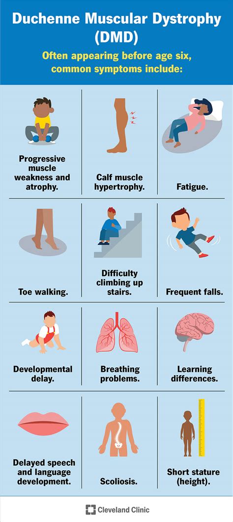 Duchenne Muscular Dystrophy (DMD): Symptoms & Treatment