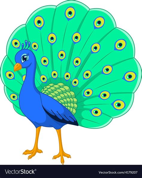 Simple Peacock Cartoon Images