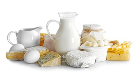 DAIRY & DAIRY INGREDIENTS | EUROPAMARK