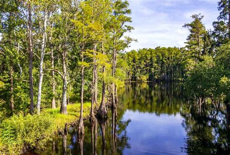 Osceola County Weather: Tuesday Will Bring Warm Temperatures with ...