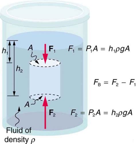 Archimedes’ Principle | Physics