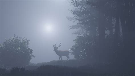 ArtStation - Moonlight forest