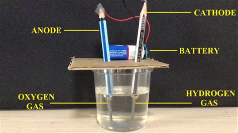 Unleash Your Inner Scientist: Top 10 Ideas to Experiment With | Touch ...