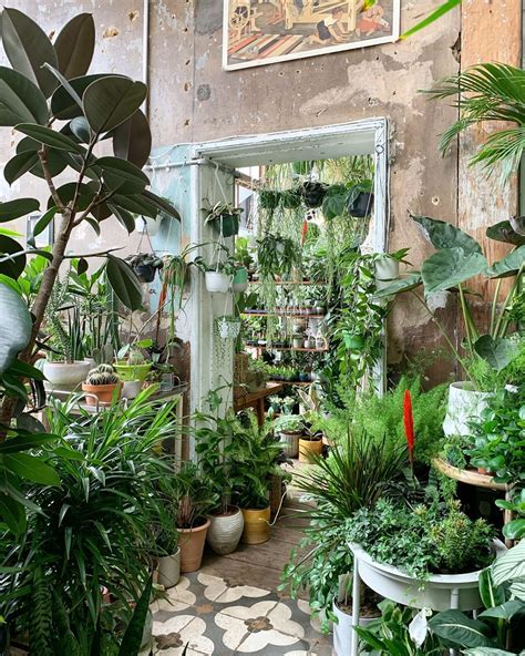 Plant Shops In London: 10 Of The Best To Feed Your Obsession