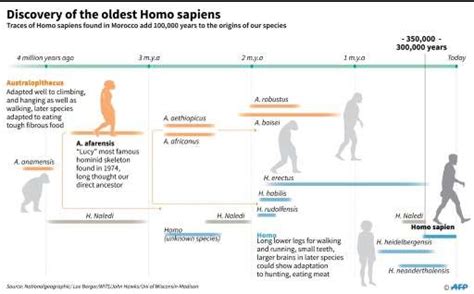 Moroccan fossil find rearranges Homo sapiens family tree