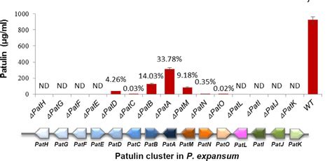 Figure 1 from Dissection of patulin biosynthesis, spatial control and ...