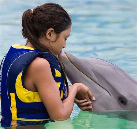 Where to watch and swim with dolphins in Hawaii - Hawaii Magazine