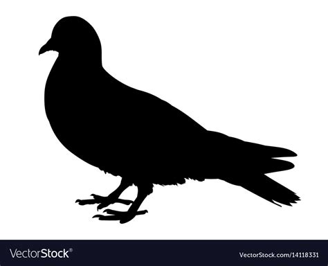 Pigeon silhouette isolated on white background Vector Image