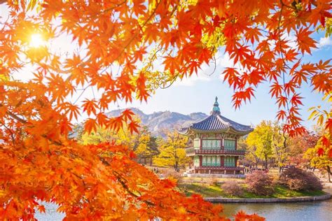 fall foliage forecast korea 2018 fall foliage korea 2018 when is autumn ...