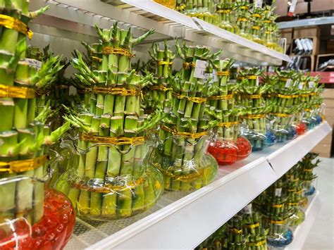 IKEA S'pore selling CNY Plants & Goodies including Bak Kwa, Mala ...