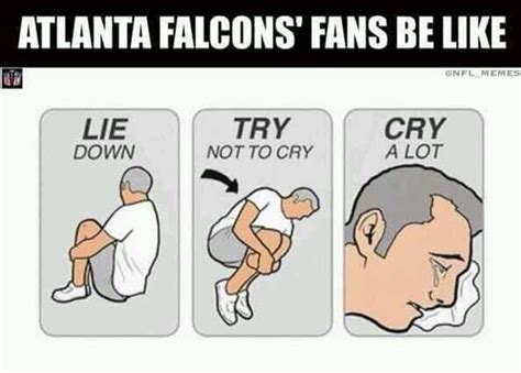 19 Anti Atlanta Falcons Memes For All the Dirty Bird Haters