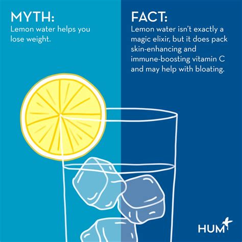 Does Lemon Water Help You Lose Weight? Experts Fact-Check Lemon Water ...