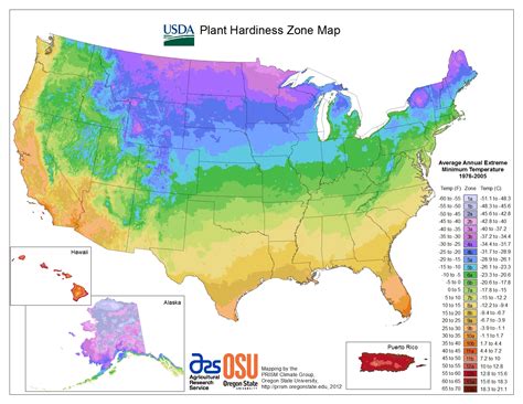 Plant Hardiness Zones | The How Do Gardener