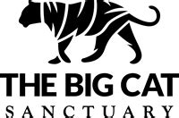 The Big Cat Sanctuary - JustGiving