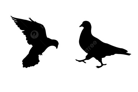 Black Pigeon PNG, Vector, PSD, and Clipart With Transparent Background ...