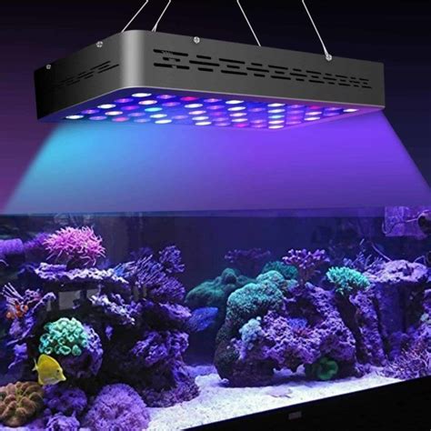 What is the Best Light for Saltwater Aquariums? in 2020 | Saltwater ...