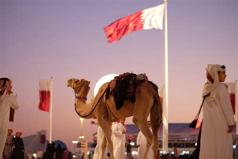 Life and Culture in Qatar | Qatar Foundation