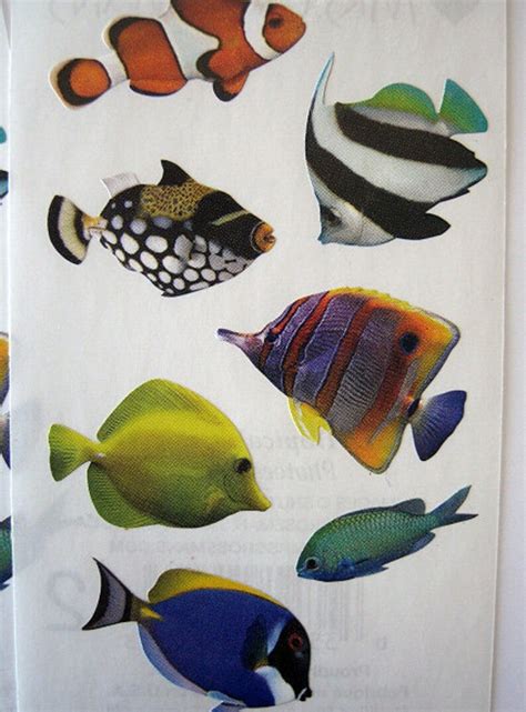 Fish Stickers Tropical Fish / Lot of 2 Full FISH Design - Etsy