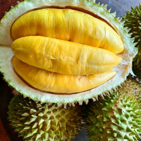 D197 Musang King (350g) – DurianBB Malaysia