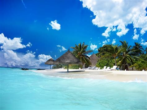 Online Wallpapers Shop: Beach Wallpaper | Beach Pictures Backgrounds ...