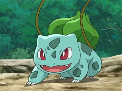 Top 12 Shocking Bulbasaur Pokemon Facts - Peto Rugs