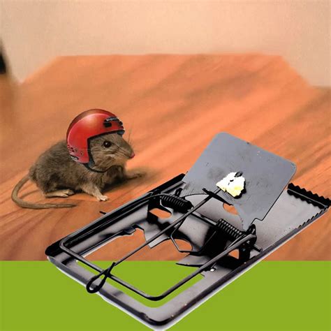 1 pcs Reusable Mouse Mice Rat Traps Pest Killer Control Trap Easy Mice ...