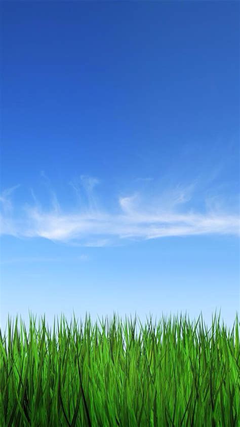 Blue sky and green grass | Landscape background, Grass background, Blue ...