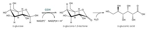 Glucose Dehydrogenase (GDH-01) I Innosyn