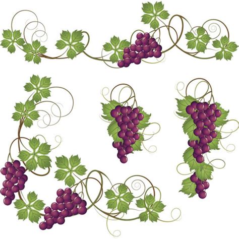 Vector juicy grapes design graphic set Free vector in Encapsulated ...