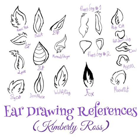 How To Draw Animal Ears at How To Draw