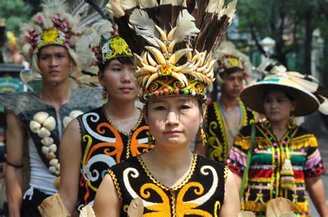 20+ Suku Dayak Kalimantan