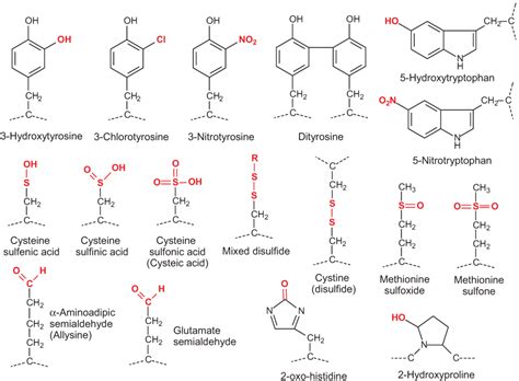 Biomolecules | Free Full-Text | Mass Spectrometry-Based Methods for ...