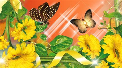 Yellow Sunshine Flowers HD desktop wallpaper : Widescreen : High ...