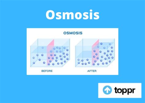 Osmotic Definition In English