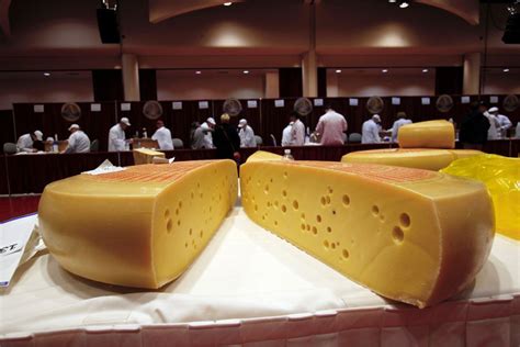 Top 20 Fun Facts About Cheese - Find Crazy Facts