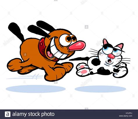 Dog Chasing Cat Stock Photos & Dog Chasing Cat Stock Images - Alamy