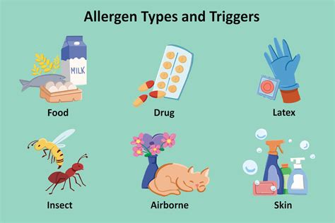 Types of Allergies: Triggers, Symptoms, Tips for Managing